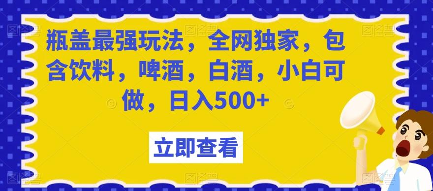瓶盖最强玩法，全网独家，包含饮料，啤酒，白酒，小白可做，日入500+【揭秘】-江南创业网