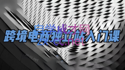 团长·跨境电商独立站入门课(2小时精华)-江南创业网