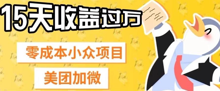 零成本小众项目，美团加微，一单4.5+，15天已经有人赚上万收益-江南创业网