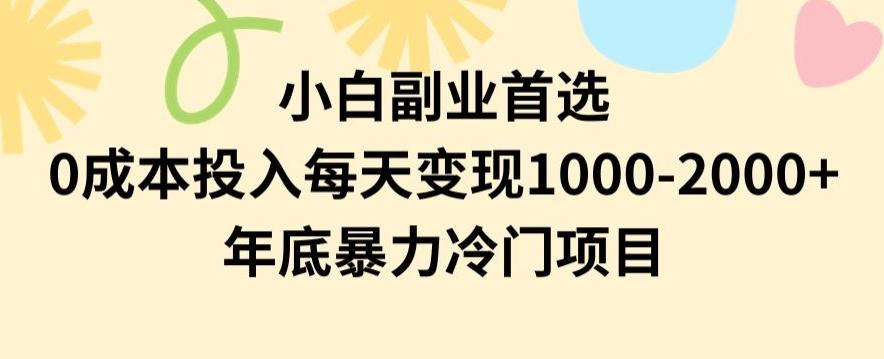 小白副业首选，0成本投入，每天变现1000-2000年底暴力冷门项目【揭秘】-江南创业网
