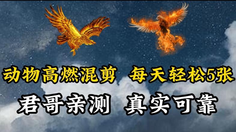 动物超燃混剪，每天轻松5张，剪辑简单大家爱看【揭秘】-江南创业网