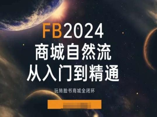 2024Faceboo商城自然流(从入门到精通)，玩转脸书商城全闭环-江南创业网