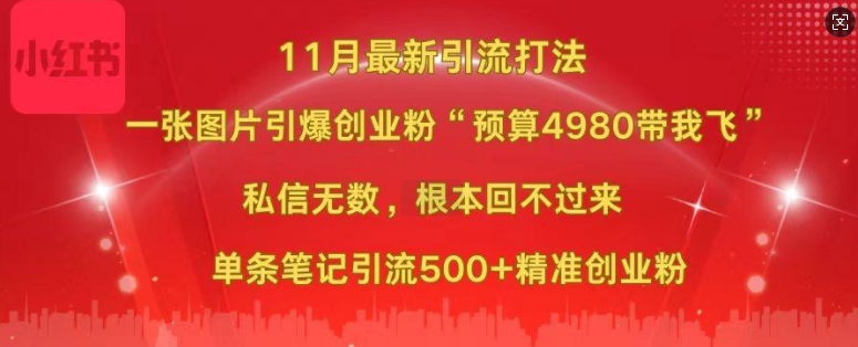 小红书11月最新图片打粉，一张图片引爆创业粉，“预算4980带我飞”，单条引流500+精准创业粉-江南创业网