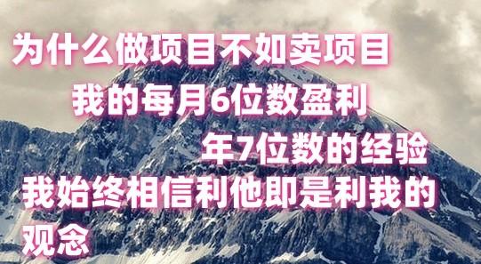 做项目不如卖项目，每月6位数盈利，年7位数经验-江南创业网