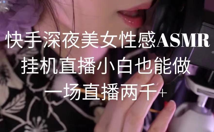 快手深夜美女性感ASMR挂机直播，小白也能做，一场直播两千+-江南创业网