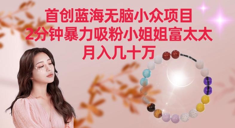 首创蓝海无脑小众项目，2分钟暴力吸粉小姐姐富太太，月入几十万【揭秘】-江南创业网