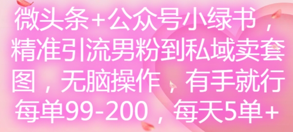 微头条+公众号小绿书，精准引流男粉到私域卖套图，无脑操作，有手就行，每单99-200，每天5单-江南创业网