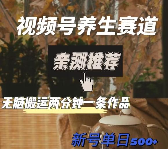 视频号养生赛道暴力掘金，无脑搬运，两分钟一条作品-新日单入500+-江南创业网
