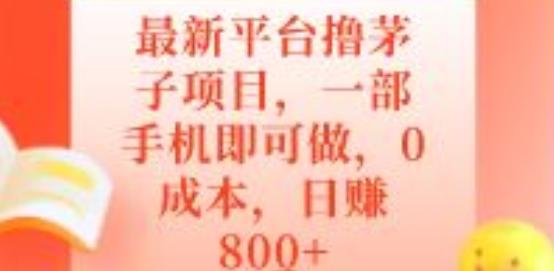 最新平台撸茅子项目，一部手机即可做，0成本，日赚800+-江南创业网