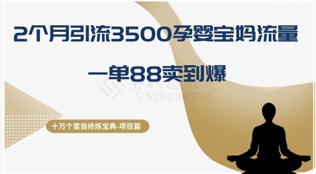 十万个富翁修炼宝典之13.2个月引流3500孕婴宝妈流量，一单88卖到爆-江南创业网