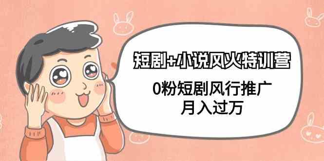 小说+短剧风火特训营，0粉短剧小说风行推广，实现月入过万-江南创业网